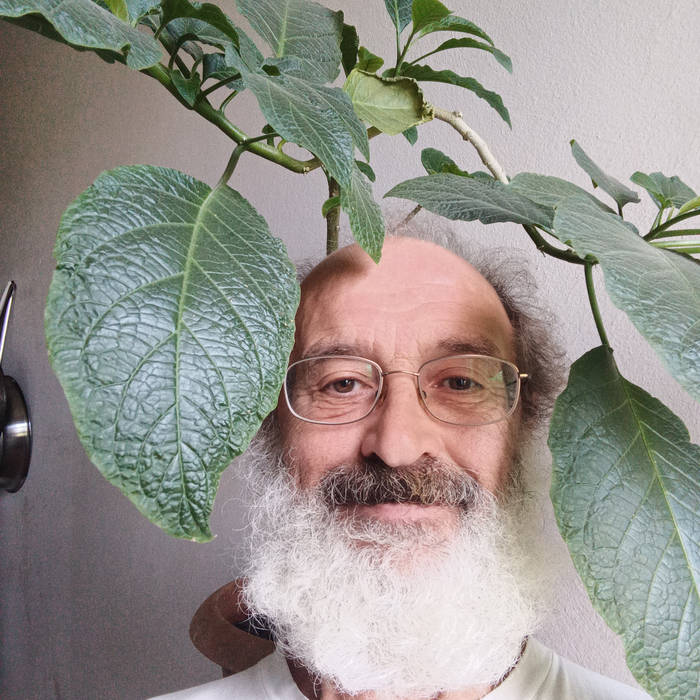 Sisto Palombella Avatar